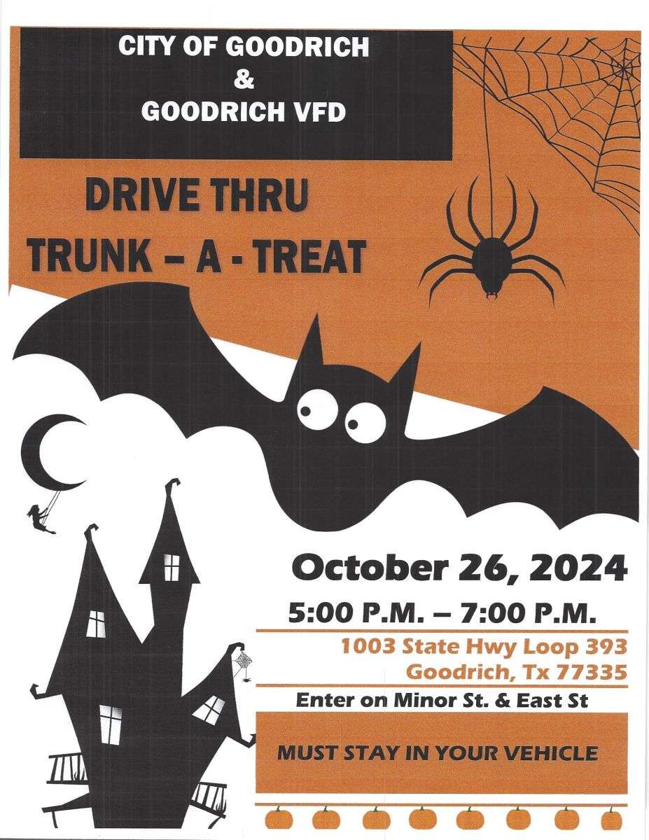 Halloween Flyer